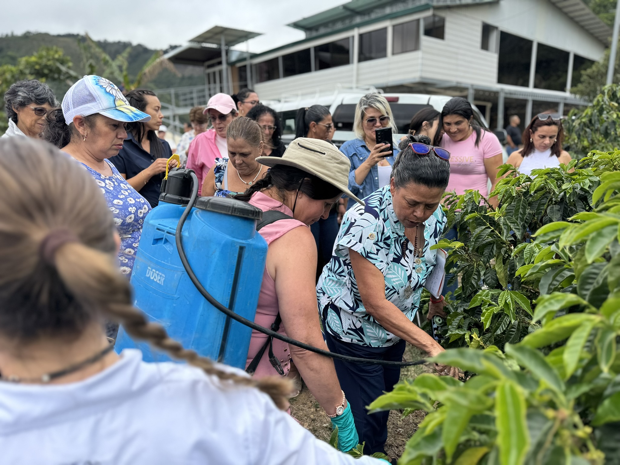 Mujeres en campo