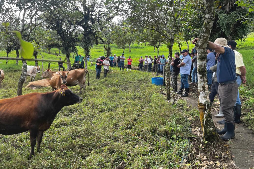 Día de campo en la finca San Francisco, 2024