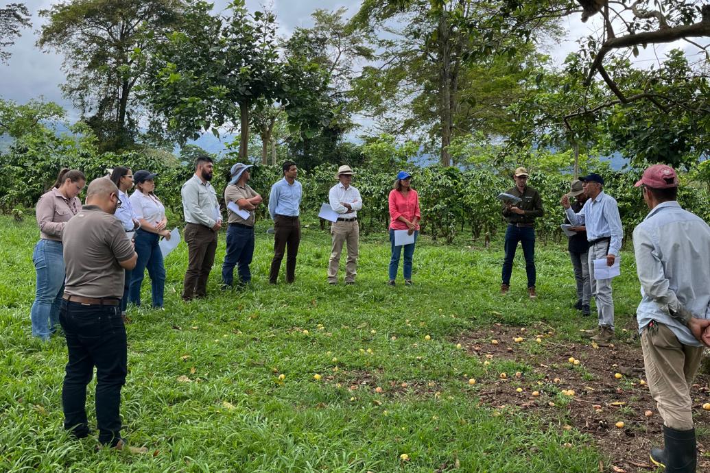 Capacitaciones en Buenas Prácticas Agrícolas NAMA Café y Transforma-Innova
