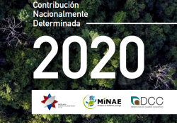 Portada NDC 2020