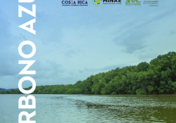 Estrategia Nacional de Carbono Azul