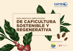 Portada Guía simplificada de caficultura sostenible y regenerativa
