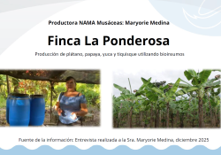 Caso de éxito: Finca La Ponderosa