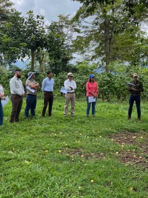 Capacitaciones en Buenas Prácticas Agrícolas NAMA Café y Transforma-Innova