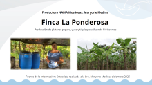 Caso de éxito: Finca La Ponderosa